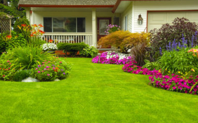 How Your Backyard Landscaping Might Be Compromising Your HVAC System