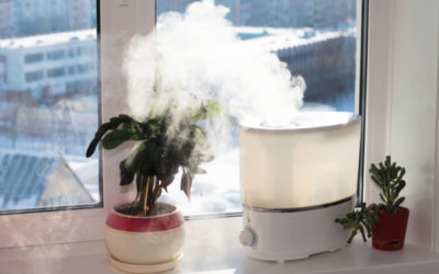 4 Benefits of a Humidifier in Fall