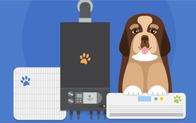 Why We’re Paw-sitively Sold on HVAC Maintenance [Infographic]