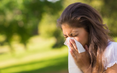 What Spring Means for Your Allergies & How Griffith Energy Services Can Help